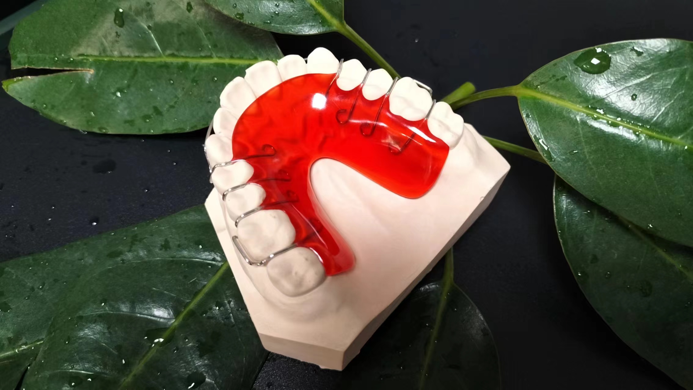 成都義齒維護(hù)|成都義齒廠家